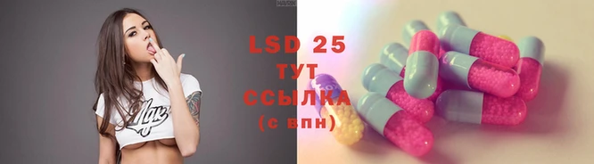 ECSTASY Алзамай