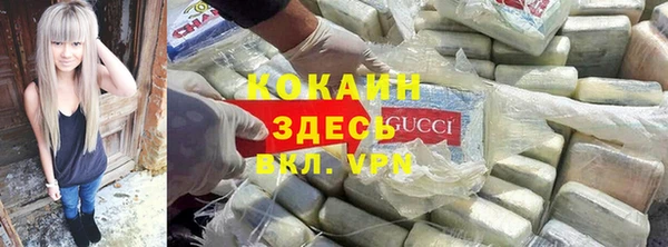 ECSTASY Алзамай