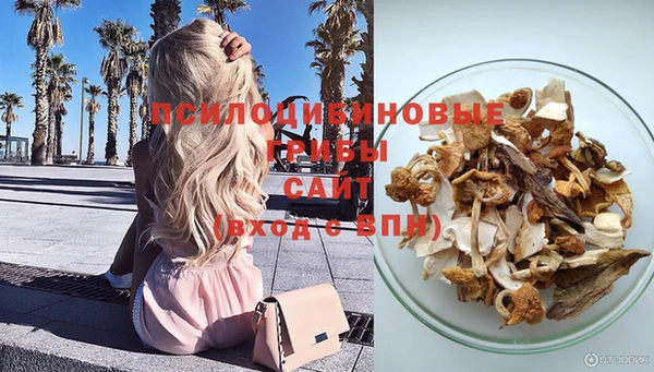ECSTASY Алзамай