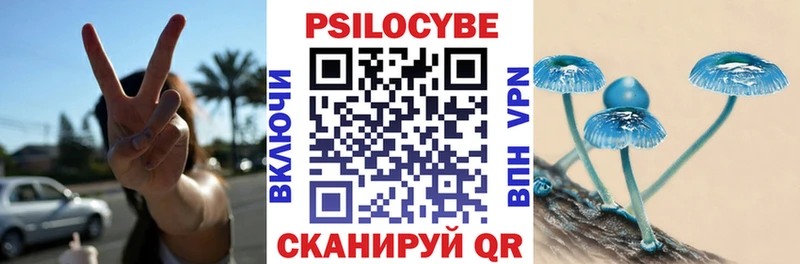 мега сайт Ахтубинск Псилоцибиновые грибы ЛСД